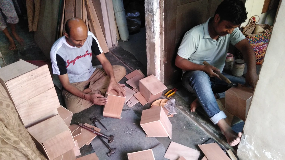 sparrow-conservation-(13)