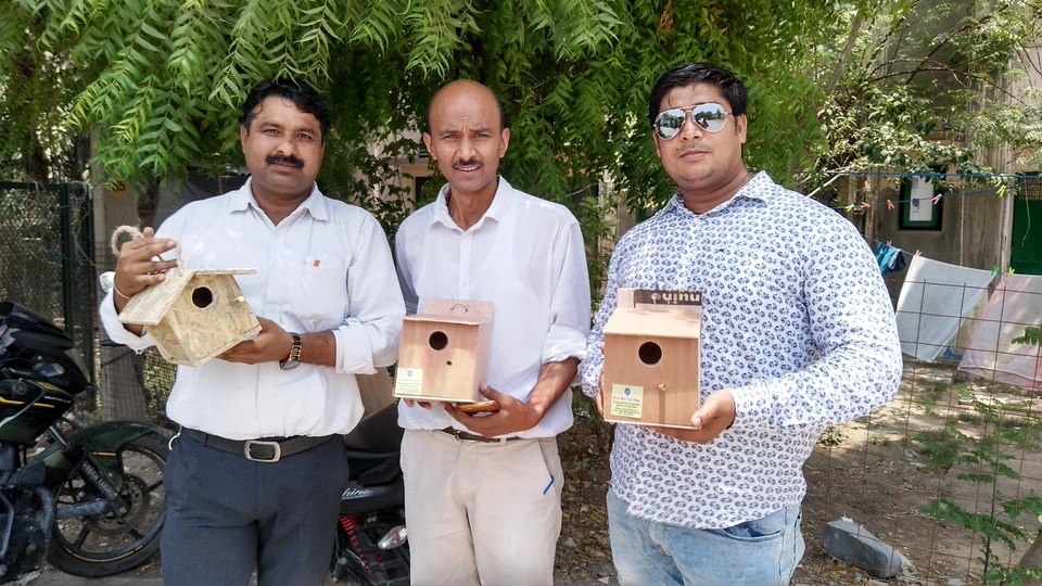 sparrow-conservation-(14)