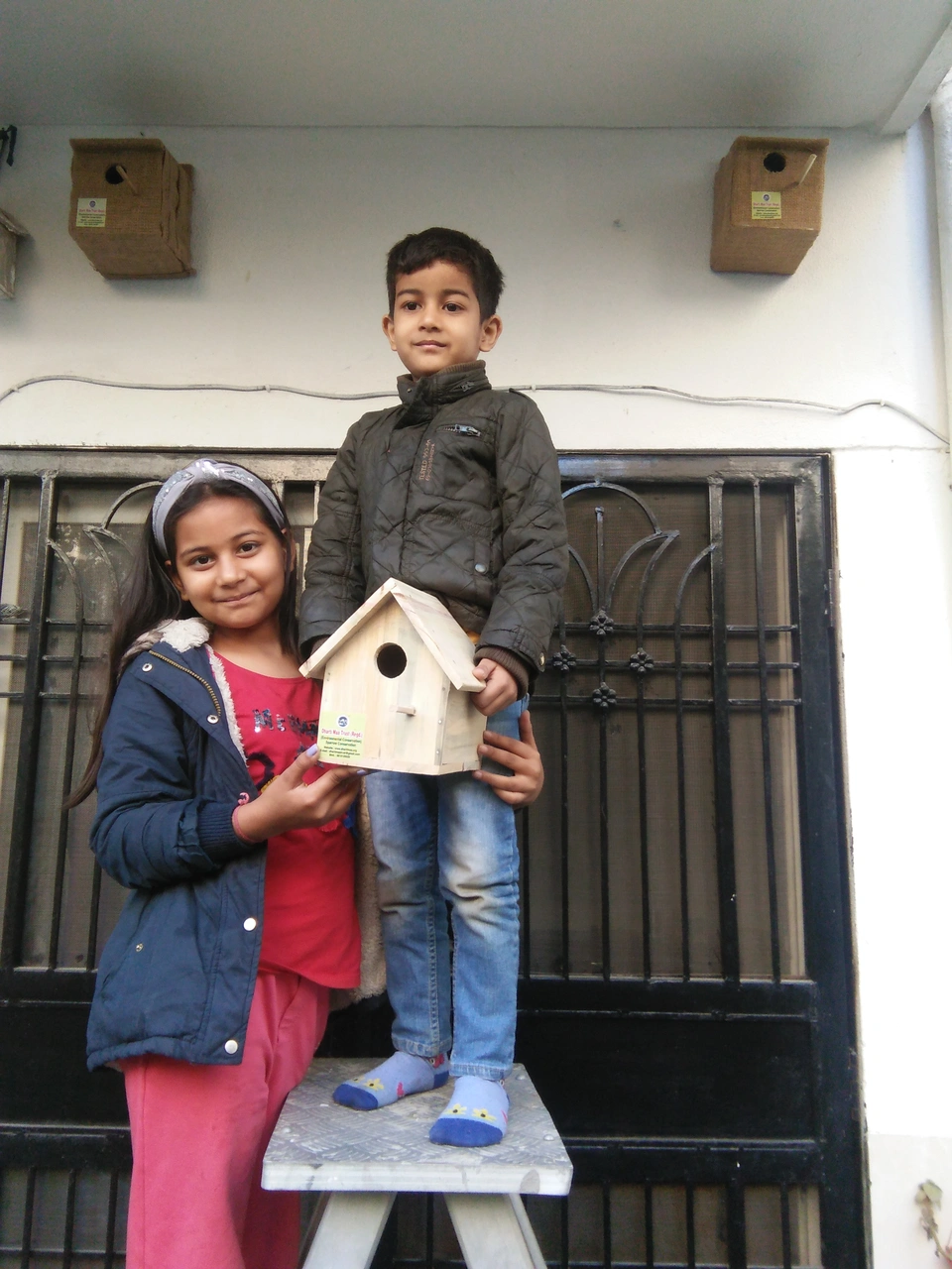 sparrow-conservation-(22)