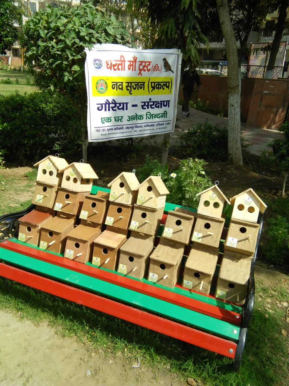 sparrow-conservation-(23)