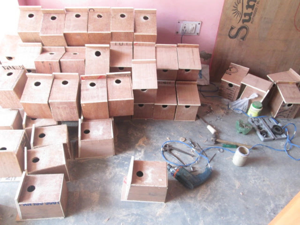 sparrow-conservation-(5)