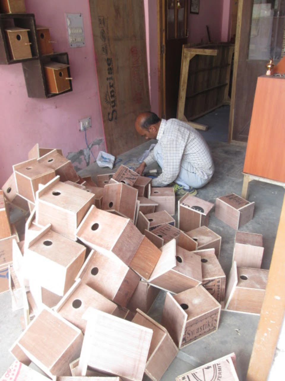 sparrow-conservation-(6)