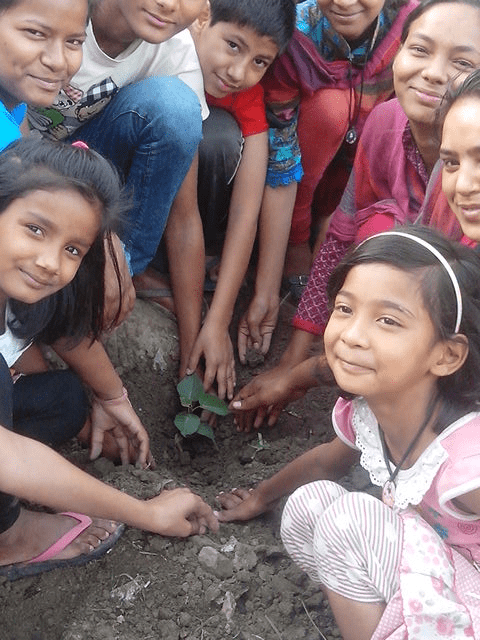 Tree-plantation(14)